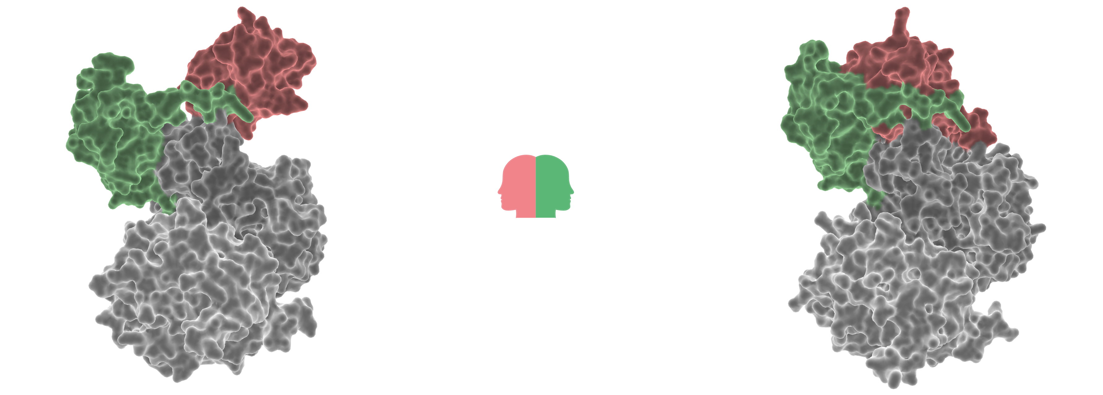 Protein conformation prediction